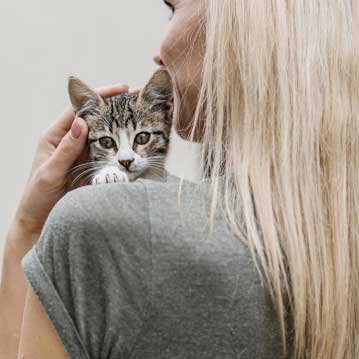 Terapia de pareja en España